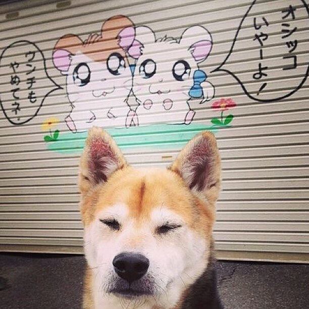 比赛精彩回放：多次惊险时刻，回味无穷！，经典比赛回顾