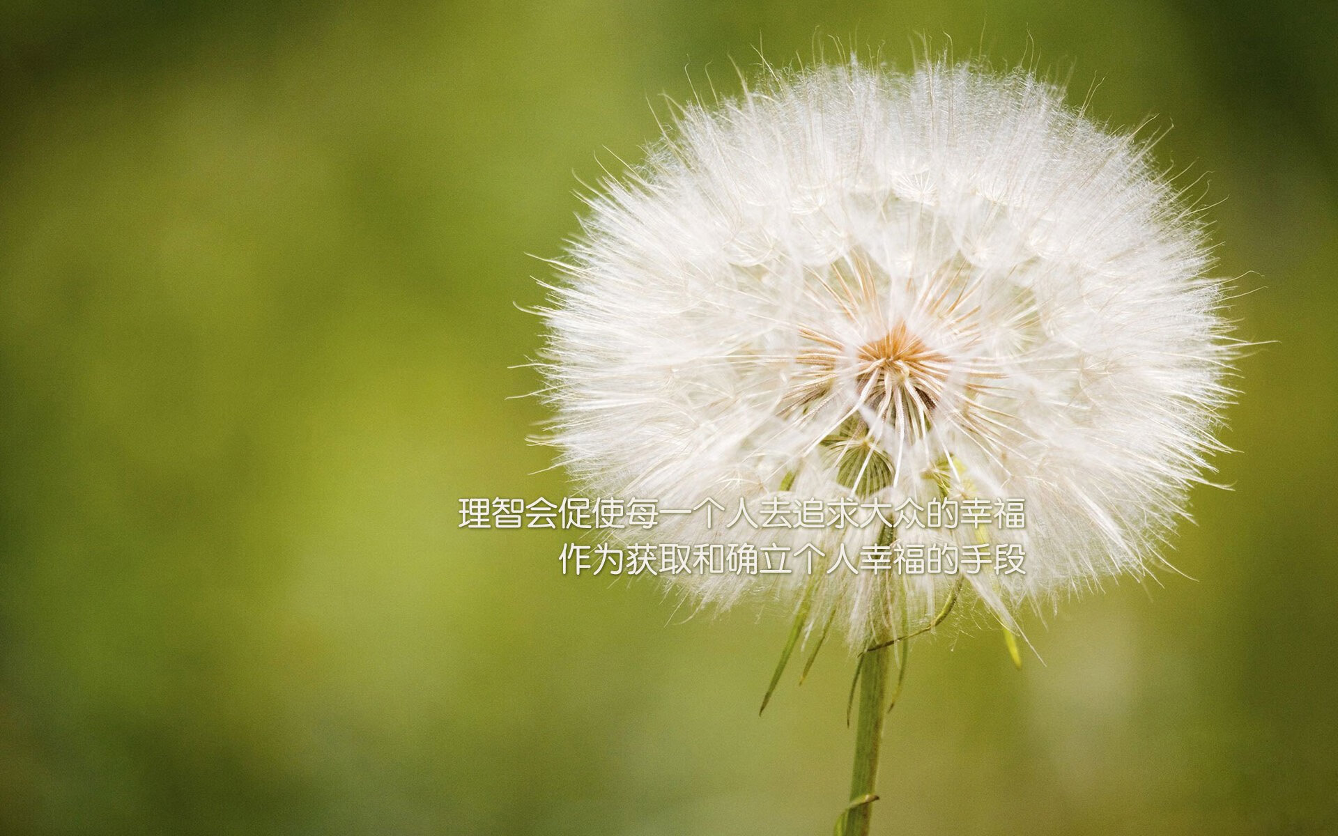 特色篮球主题公园成为城市文化新地标,赋能体育+旅游新业态,篮球公园宣传海报