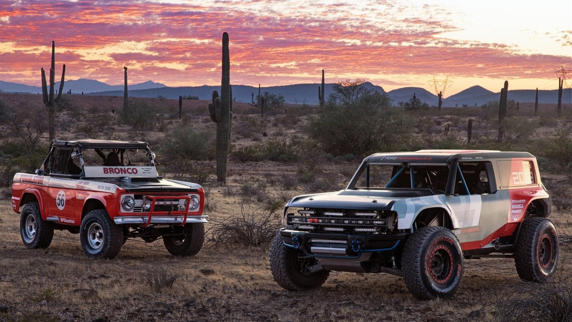 开云平台-破纪录大师：今年可能打破哪些历史纪录？，打破纪录破记录区别