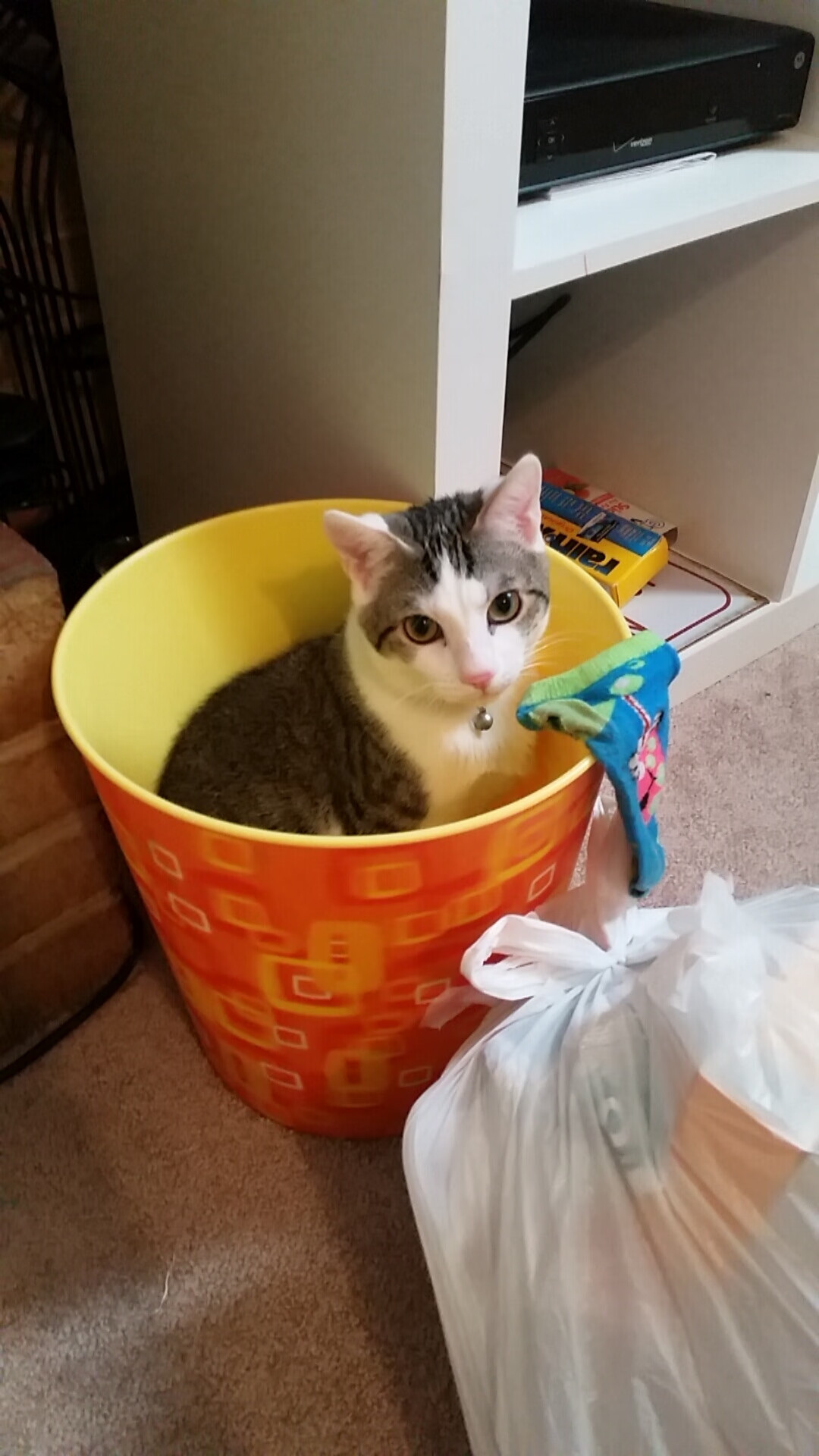 开云·体育官网APP下载-詹姆斯多场“双十”爆发，季后赛状态火热！，詹姆斯多少次双一阵