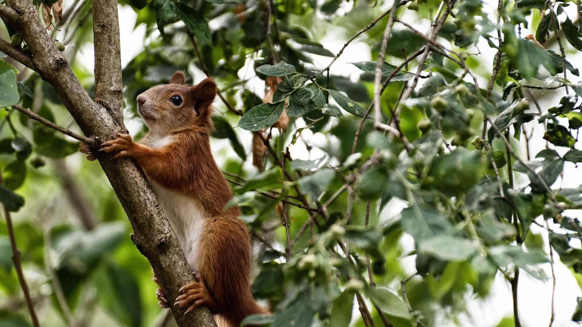 开云网页版登录入口-运动精神：篮球让世界更精彩的故事，运动篮球精神名言