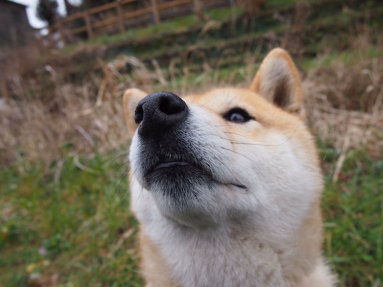 青少年登山挑战赛,攀越高峰的勇气,青少年探险攀爬乐园