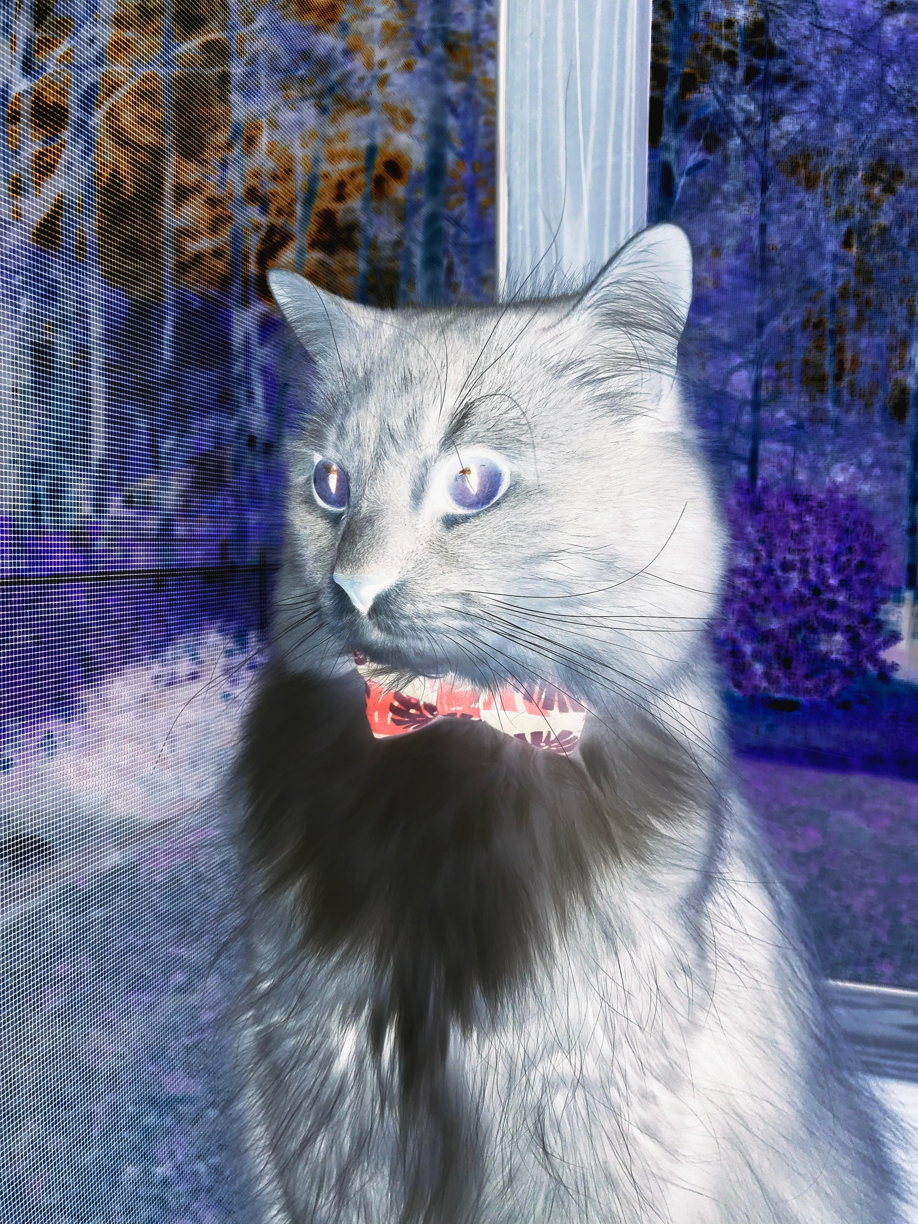 KPL战队团队配合默契升级,kpl常用阵容搭配