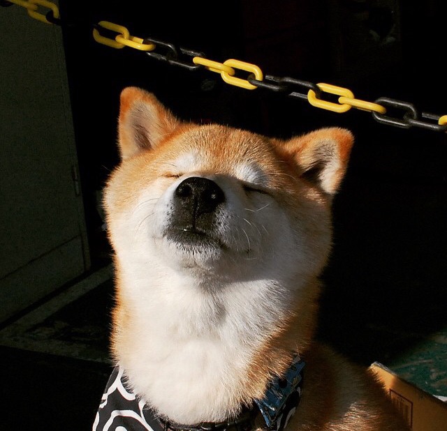 开云官方网站-意甲能否重建昔日强队荣光，意甲能再度复兴吗