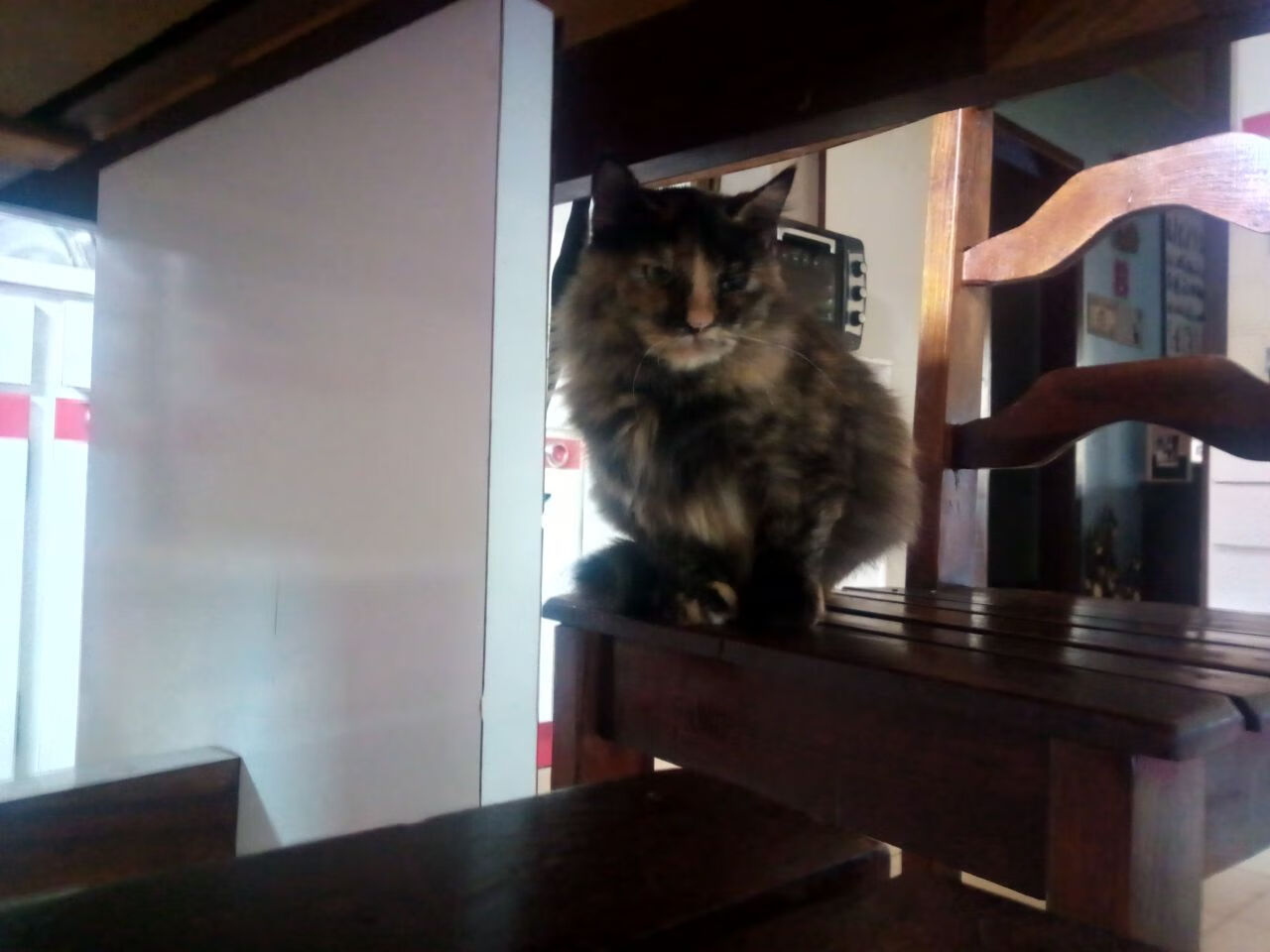 杜塞尔多夫迎战柏林赫塔,争夺胜利,杜塞尔多夫怎么样