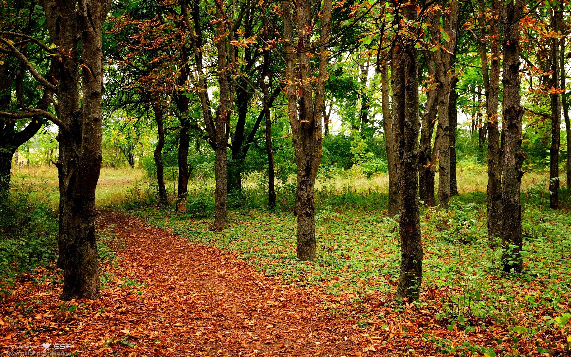 激战正酣!德国女队对阵南非,胜者晋级下一轮,德国vs南非