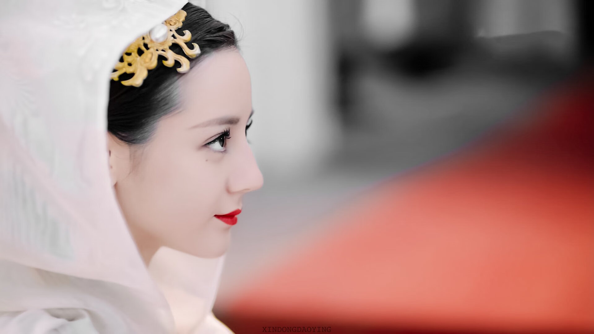 狼队主帅公开表扬队员拼搏精神,赞誉不断,狼队人员