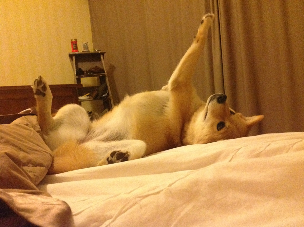 球员续约期表现波动是否与心理压力有关,刚续约球员可以交易吗