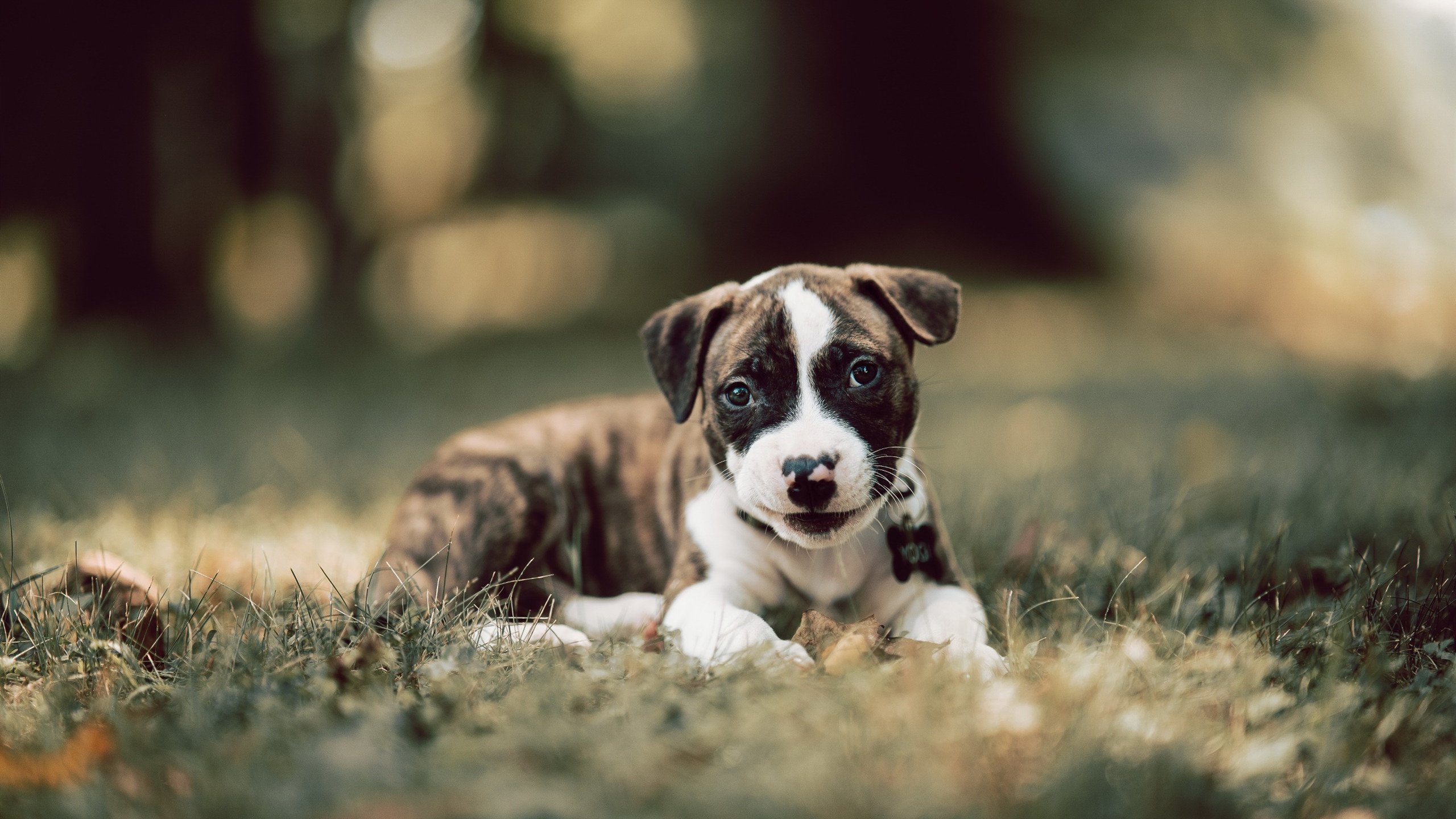 开云kaiyun-莱加内斯主场不胜，保级形势难言乐观，莱加内斯直播