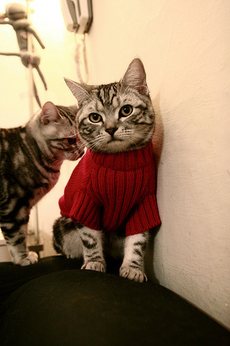 开云平台-阿贾克斯逆转狂飙，晋级四强佳音令人振奋，0203阿贾克斯