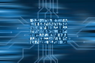 kaiyun官方入口登录-NBA联盟市场营销策略的数字化转型，nba营销策略分析论文