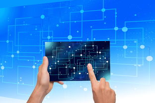 kaiyun登录入口-中国篮球教练员执教能力提升路径研究，中国篮球教练员岗位培训a级教程书籍