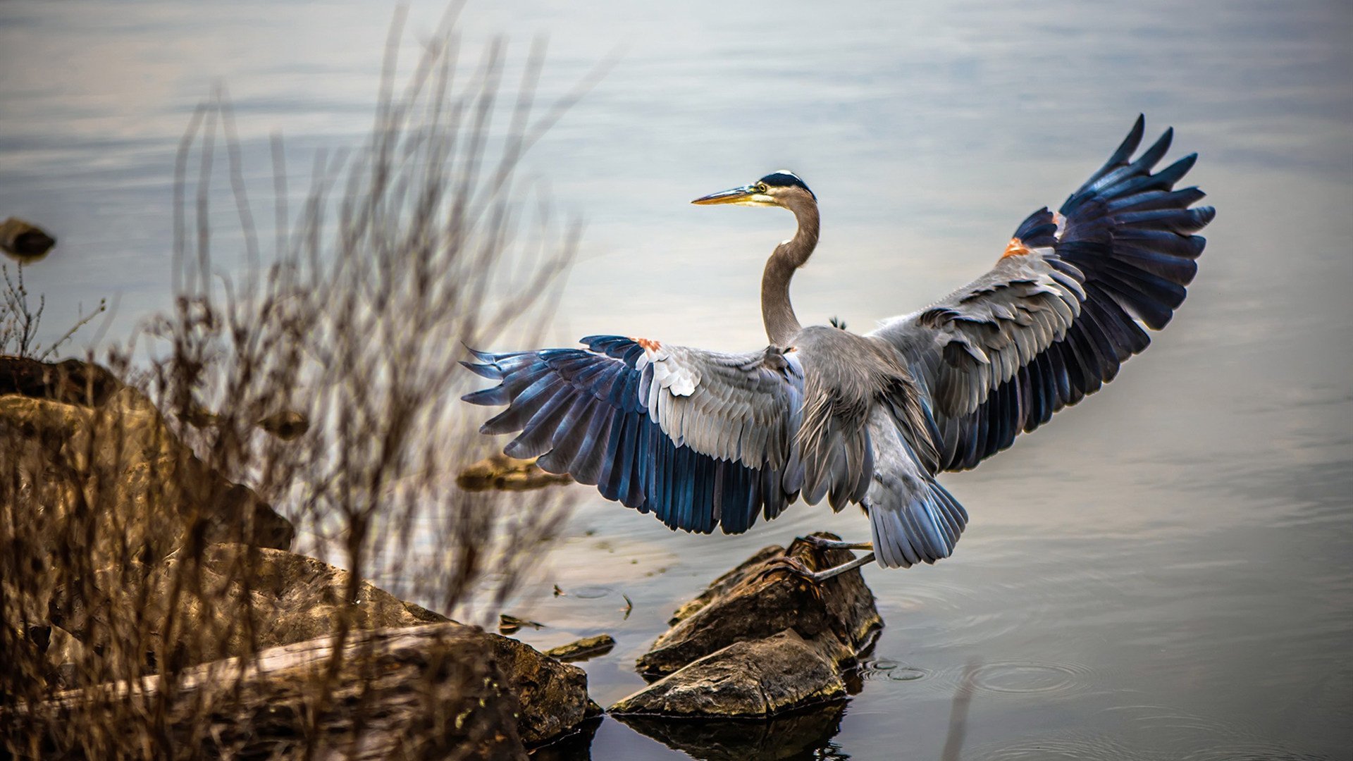 体育场馆安全技术升级，体育场馆安全专项整治方案