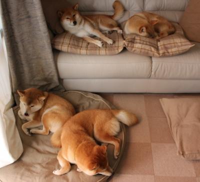 德甲俱乐部球场停车配套升级对周边商圈的带动效益，德甲的球场是不是小些