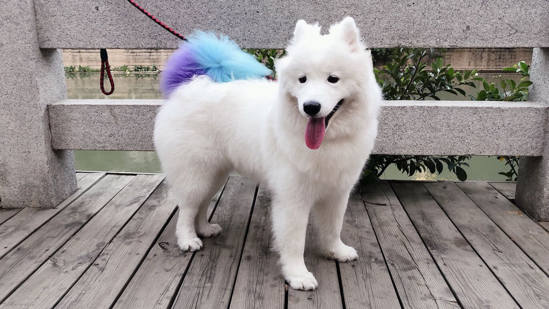 中国男篮对阵强敌收获经验也暴露不足，中国男篮对阵强敌收获经验也暴露不足的球员