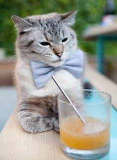 开云入口-印度队未来：加大资源投入，打造世界级乒乓球队伍，印度乒乓球员