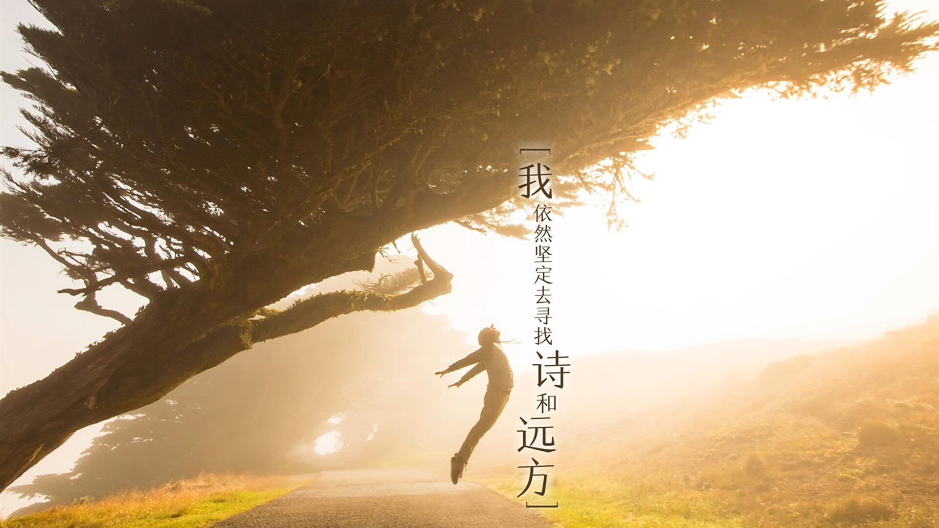 拜仁锋线组合配合默契,制造持续威胁,拜仁战术分析