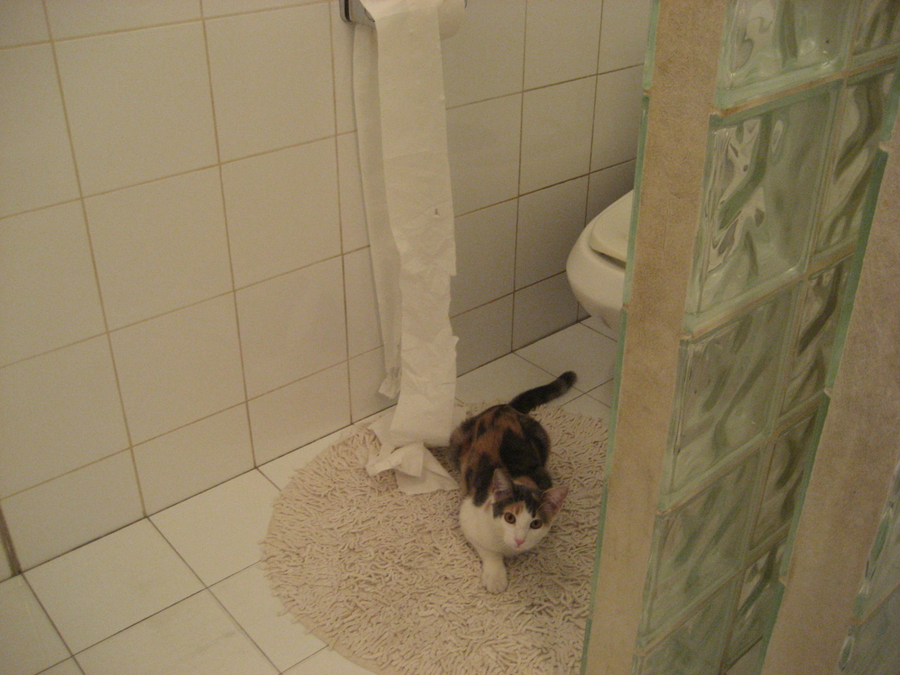 开云kaiyun-青少年赛事加入团队协作评分机制，青少年赛事活动