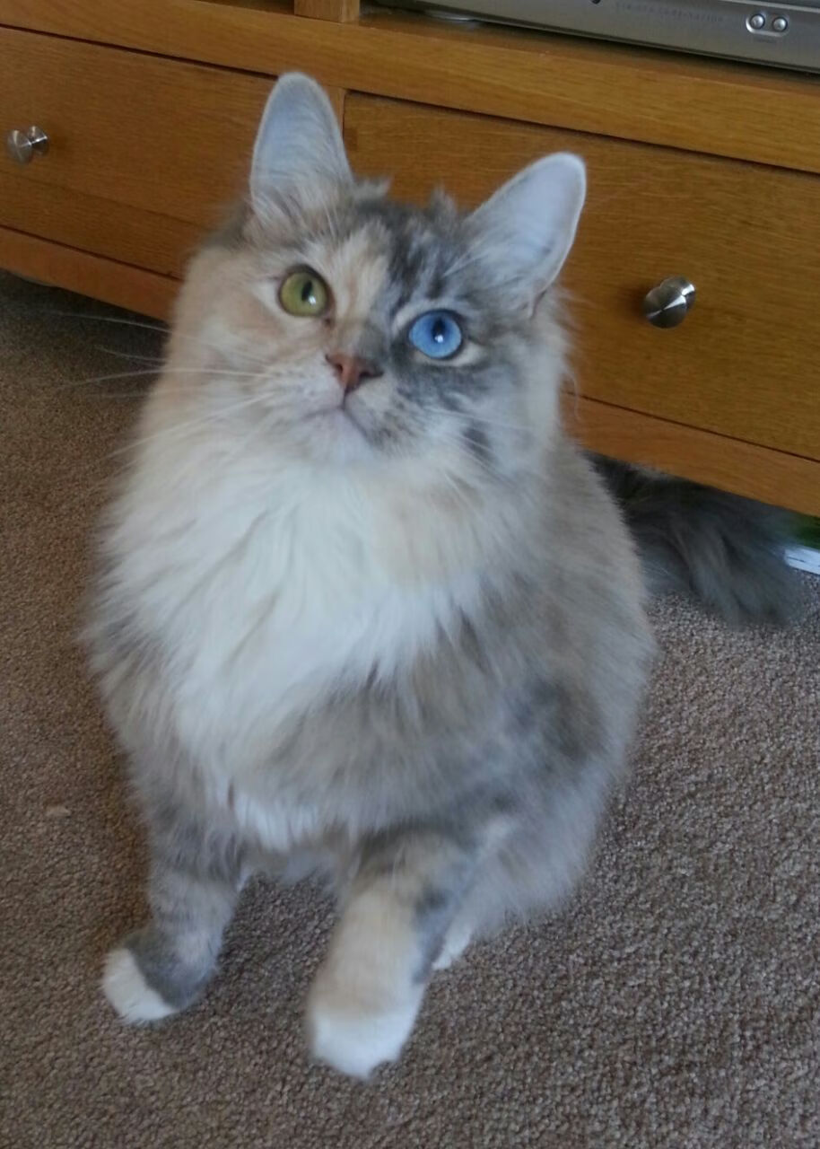 中超夏窗引援名单曝光多队目标锁定日韩球员，2021中超夏窗转会时间