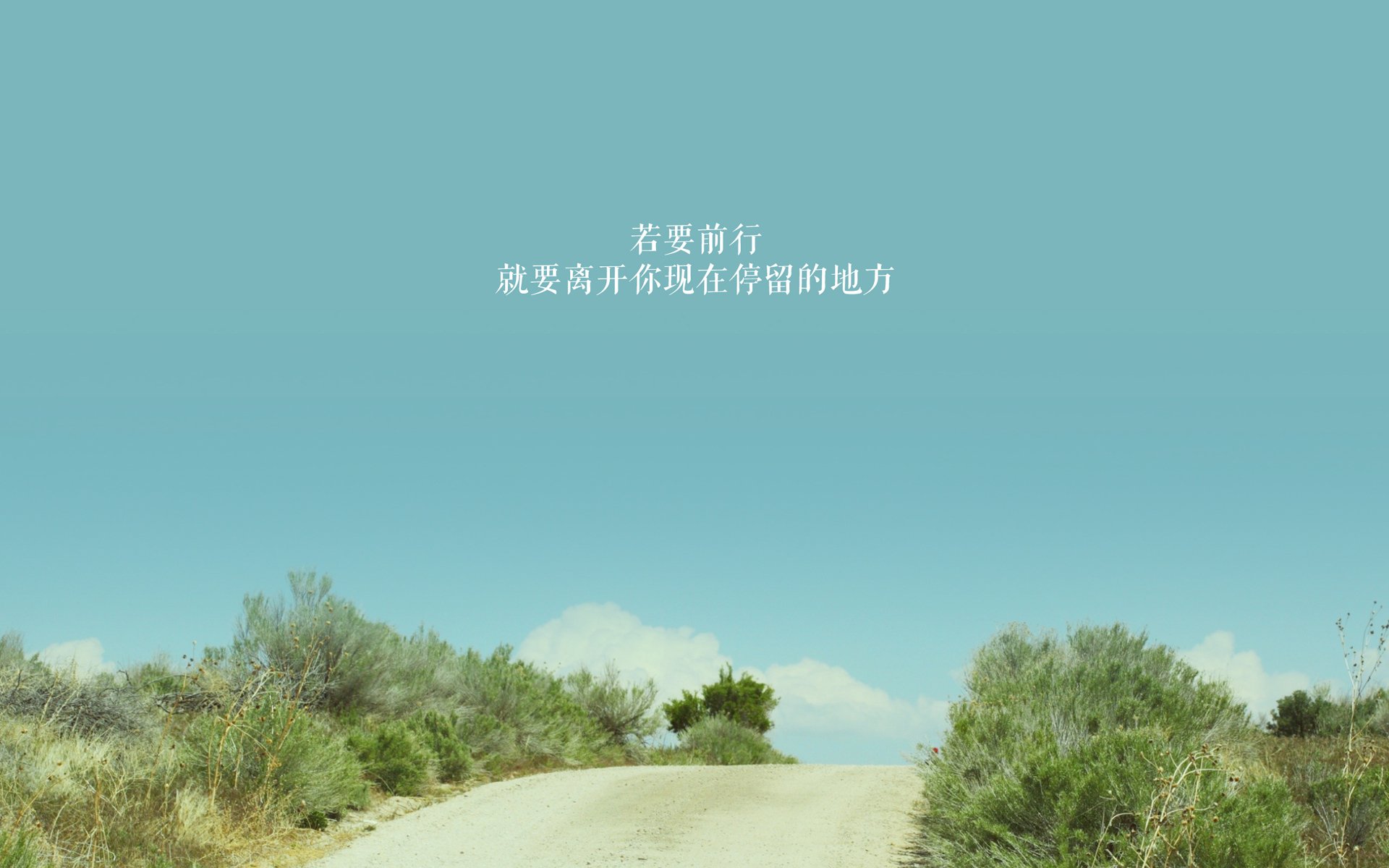 乌拉圭女篮在南美锦标赛中表现优异，体育事业迎来新高峰，乌拉圭 南美