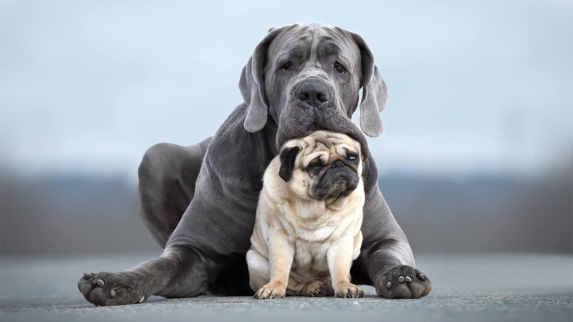 国家体育文化中心发布体育主题展演活动时间表,国家体育场演出信息