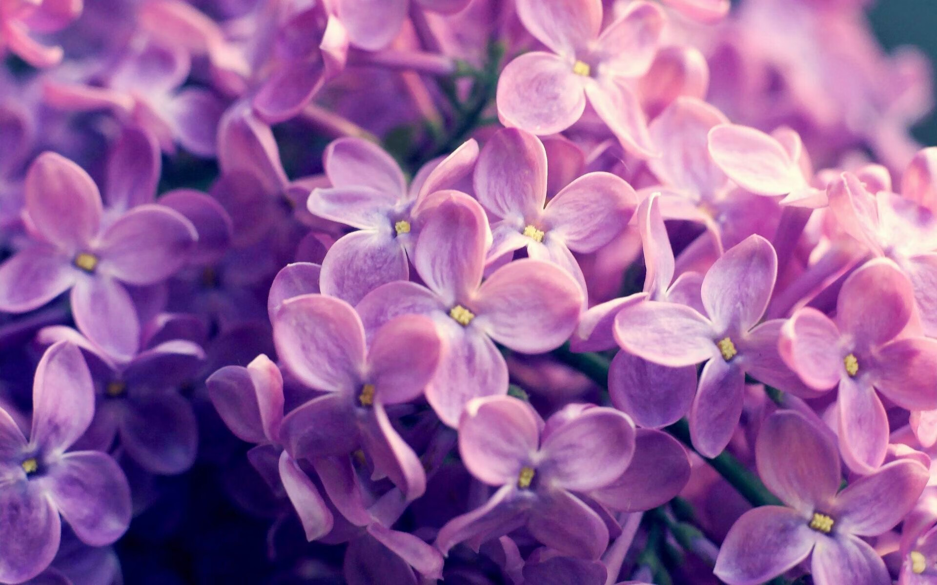 kaiyun官方入口登录-新秀表现抢眼，教练寄予厚望进入主力轮换，omg新教练