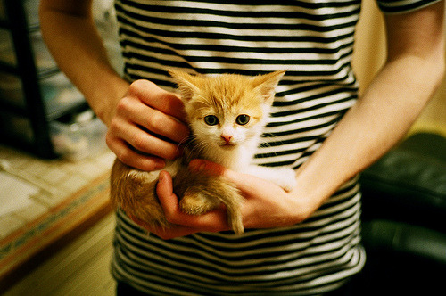 开云网页版-校园足球设立校园杯系列赛打造品牌赛事IP，校园足球冠军杯