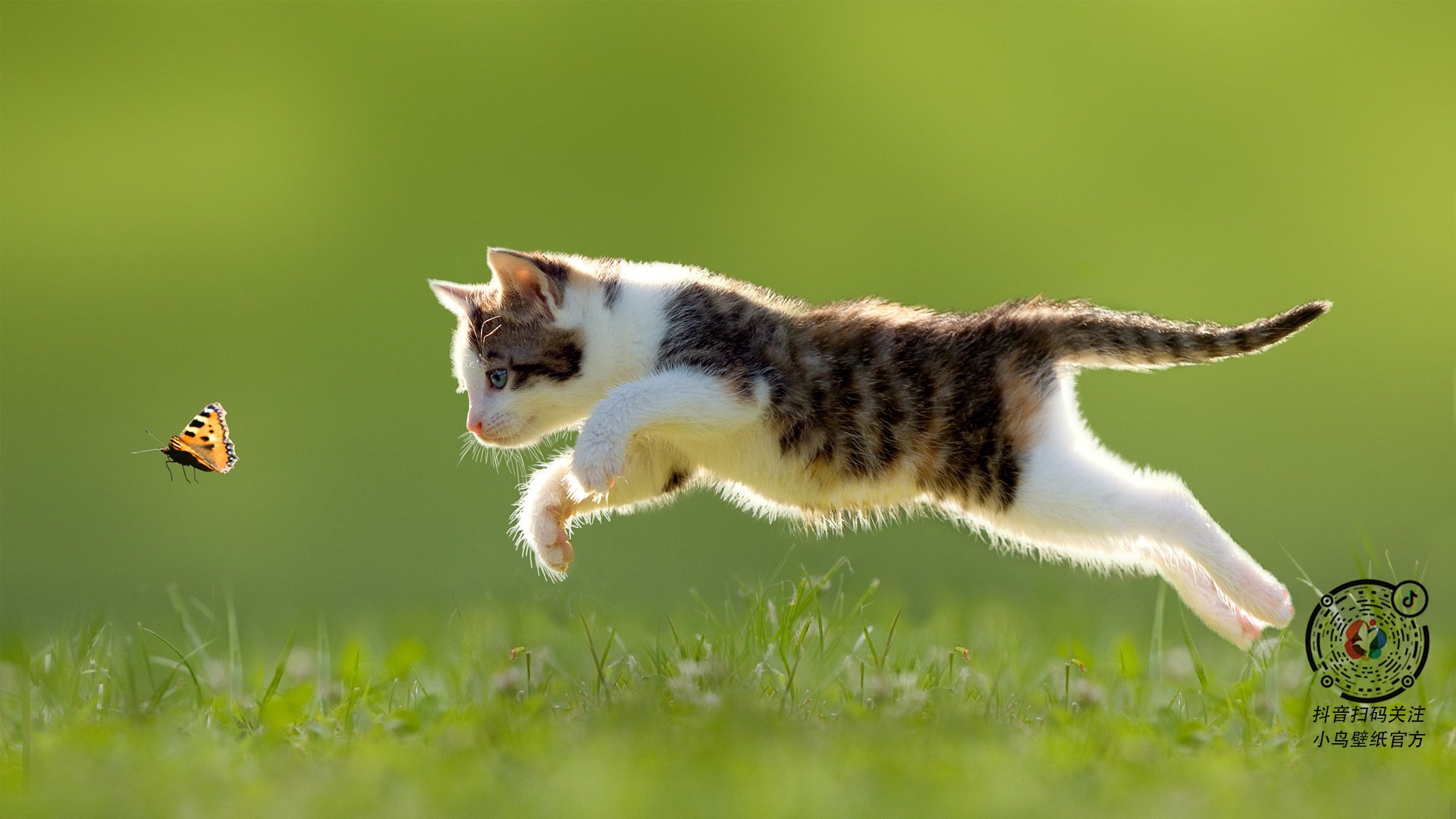 kaiyun体育综合-田径裁判规范化培训项目在全国铺开，田径裁判知识