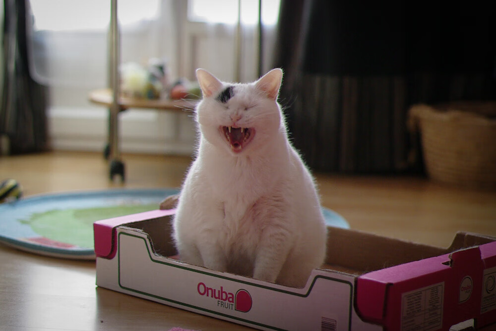 篮球联赛宣传活动覆盖多个城市地标,篮球赛活动宣传怎么写