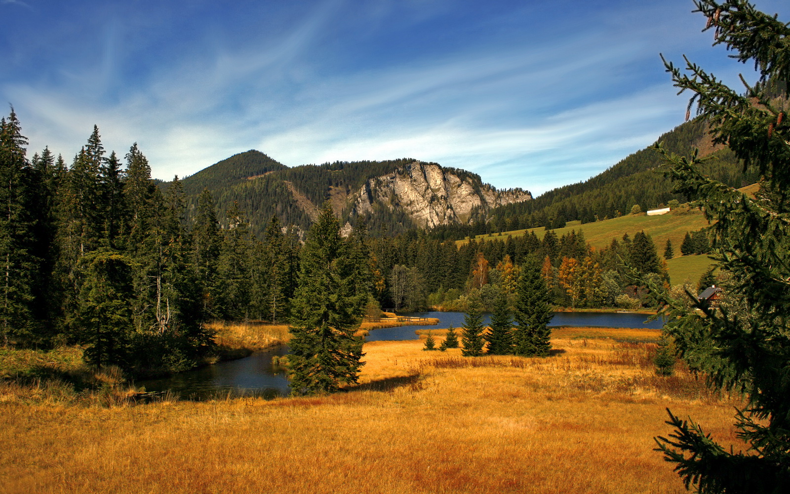 马里特·斯滕伯根女子100米自由泳决赛精彩亮相,里约100米自由泳决赛